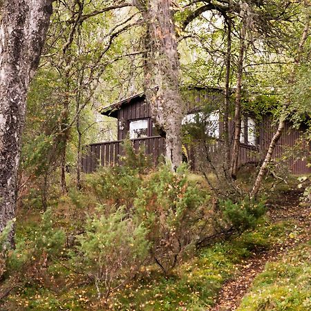 Macdonald Lochanhully Resort Carrbridge Exteriör bild