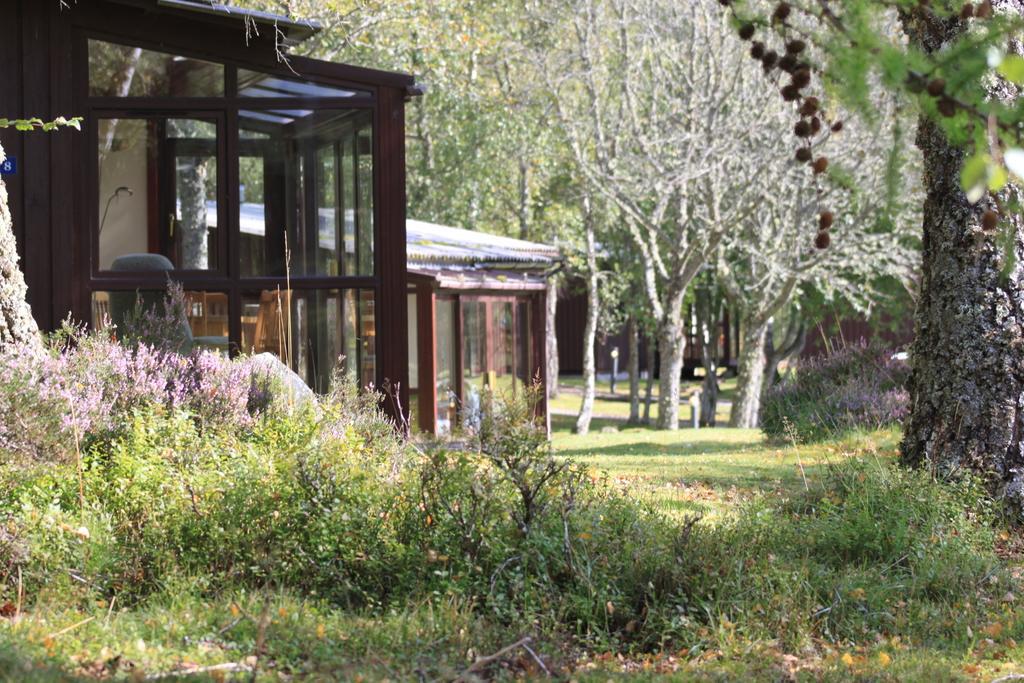 Macdonald Lochanhully Resort Carrbridge Rum bild