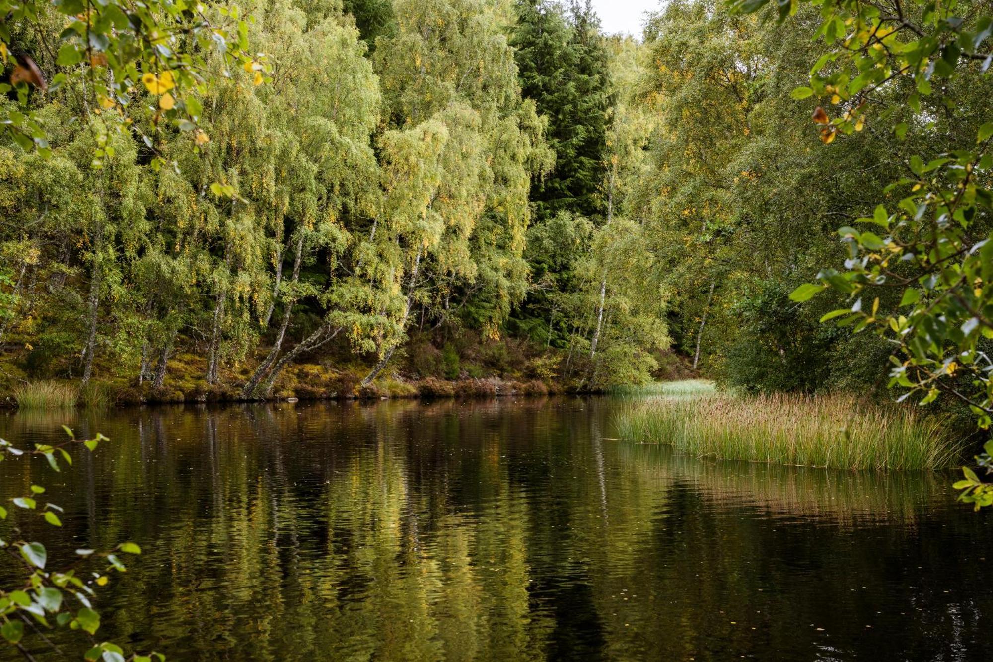 Macdonald Lochanhully Resort Carrbridge Exteriör bild